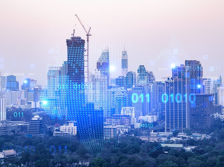 Business NPA Management